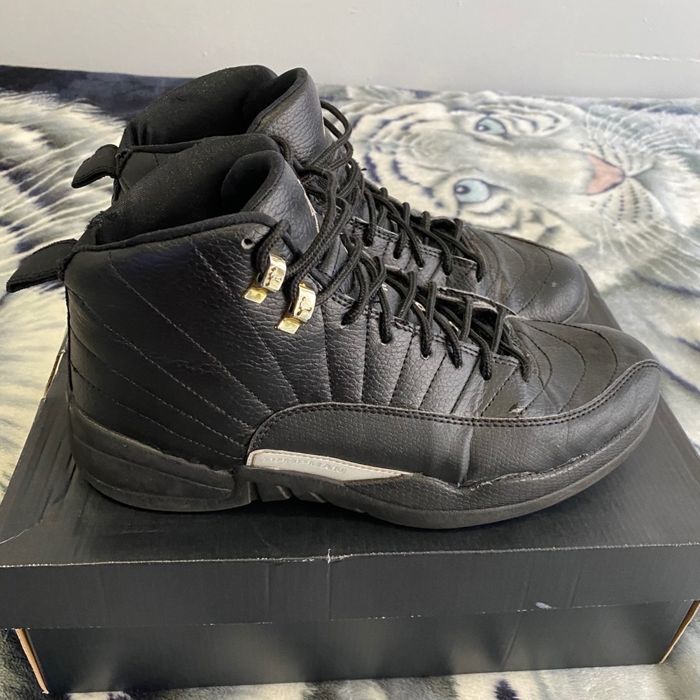 Jordan 12 The Master size 10.5